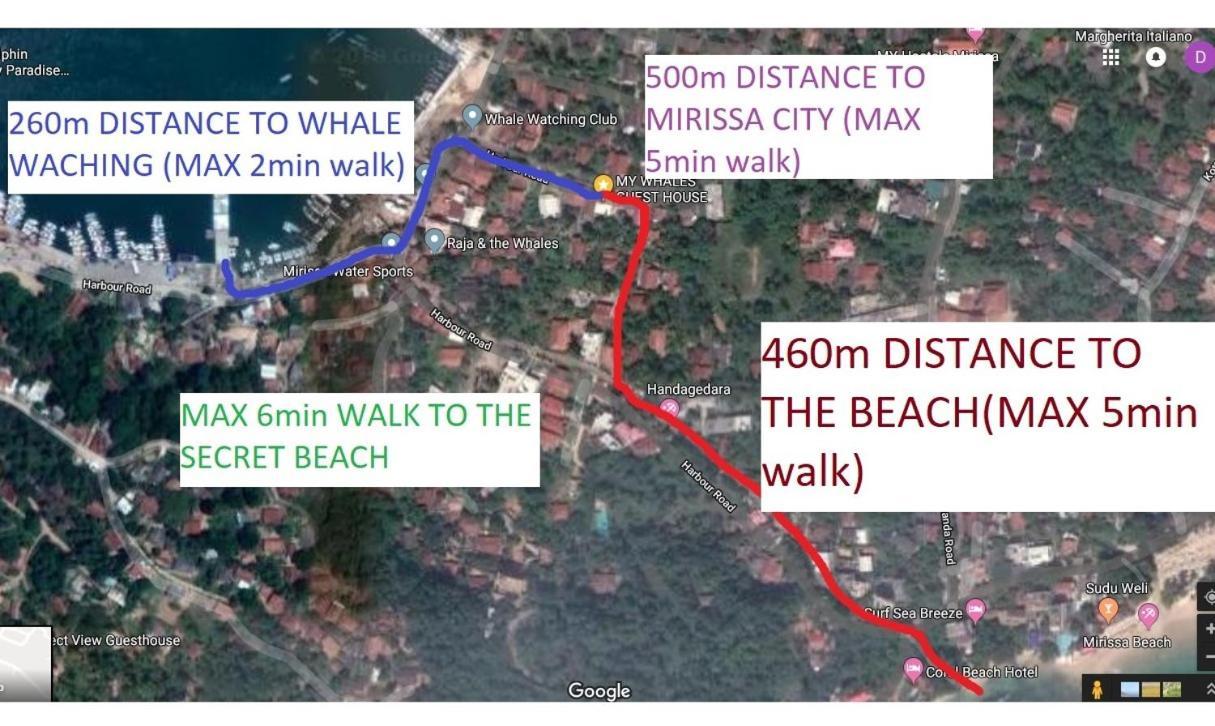 My Whales Guest House Banduramulla Esterno foto
